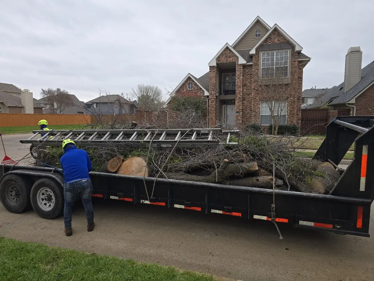 Expert Tree Removal with proper safety equipment in Waupaca